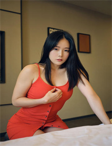 芭比仙子的秘密
